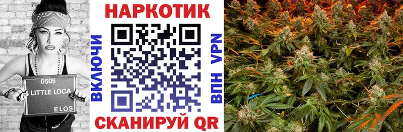 Что такое Краснообск NBOMe Меф Альфа ПВП Марихуана ГАШИШ КОКАИН