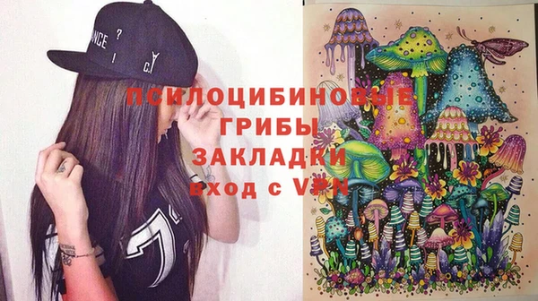 мдпв Арсеньев