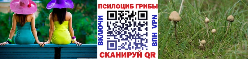 darknet как зайти наркота ссылка на мегу ONION Краснообск Галлюциногенные грибы Psilocybe